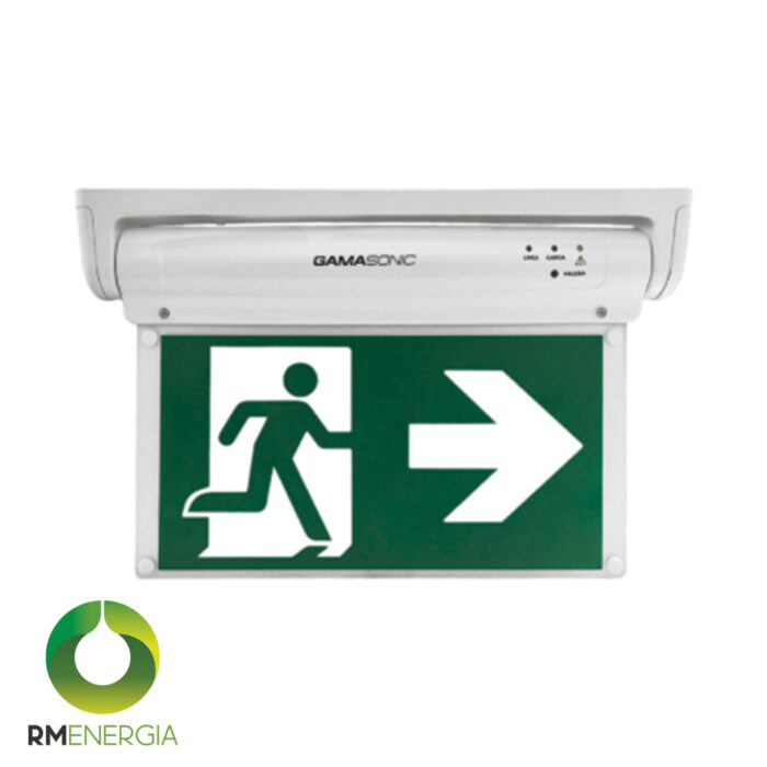 Señalética Emergencia GX-12BC Certificada | Alta Visibilidad Fotoluminiscente A4